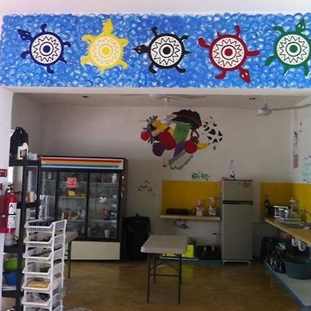 Hostal Vive La Vida 신데 델 카르멘 외부 사진