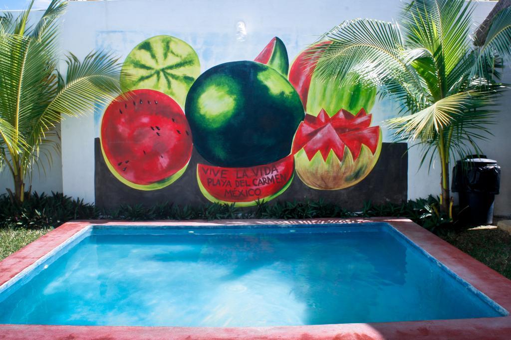 Hostal Vive La Vida 신데 델 카르멘 외부 사진