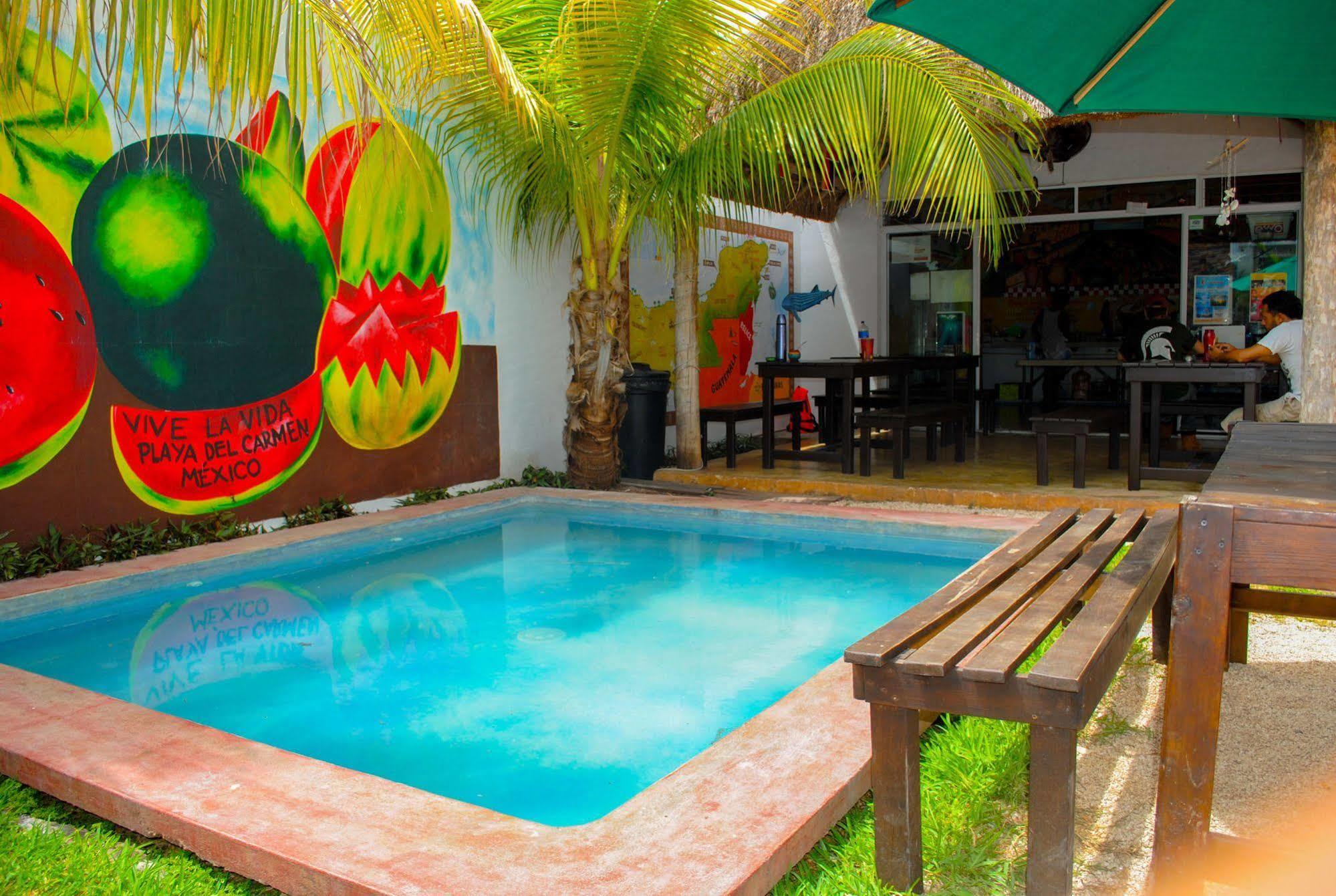 Hostal Vive La Vida 신데 델 카르멘 외부 사진