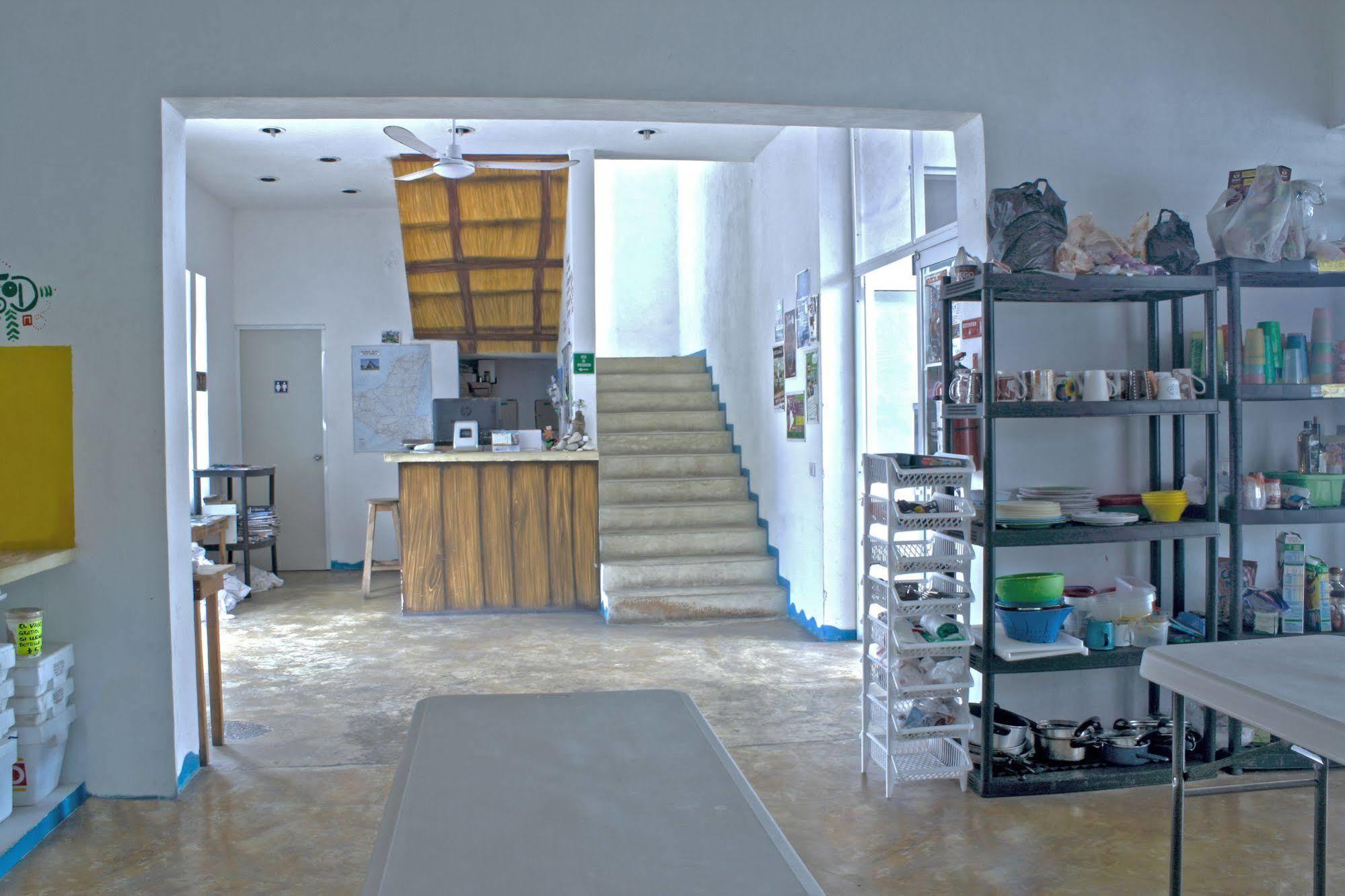 Hostal Vive La Vida 신데 델 카르멘 외부 사진