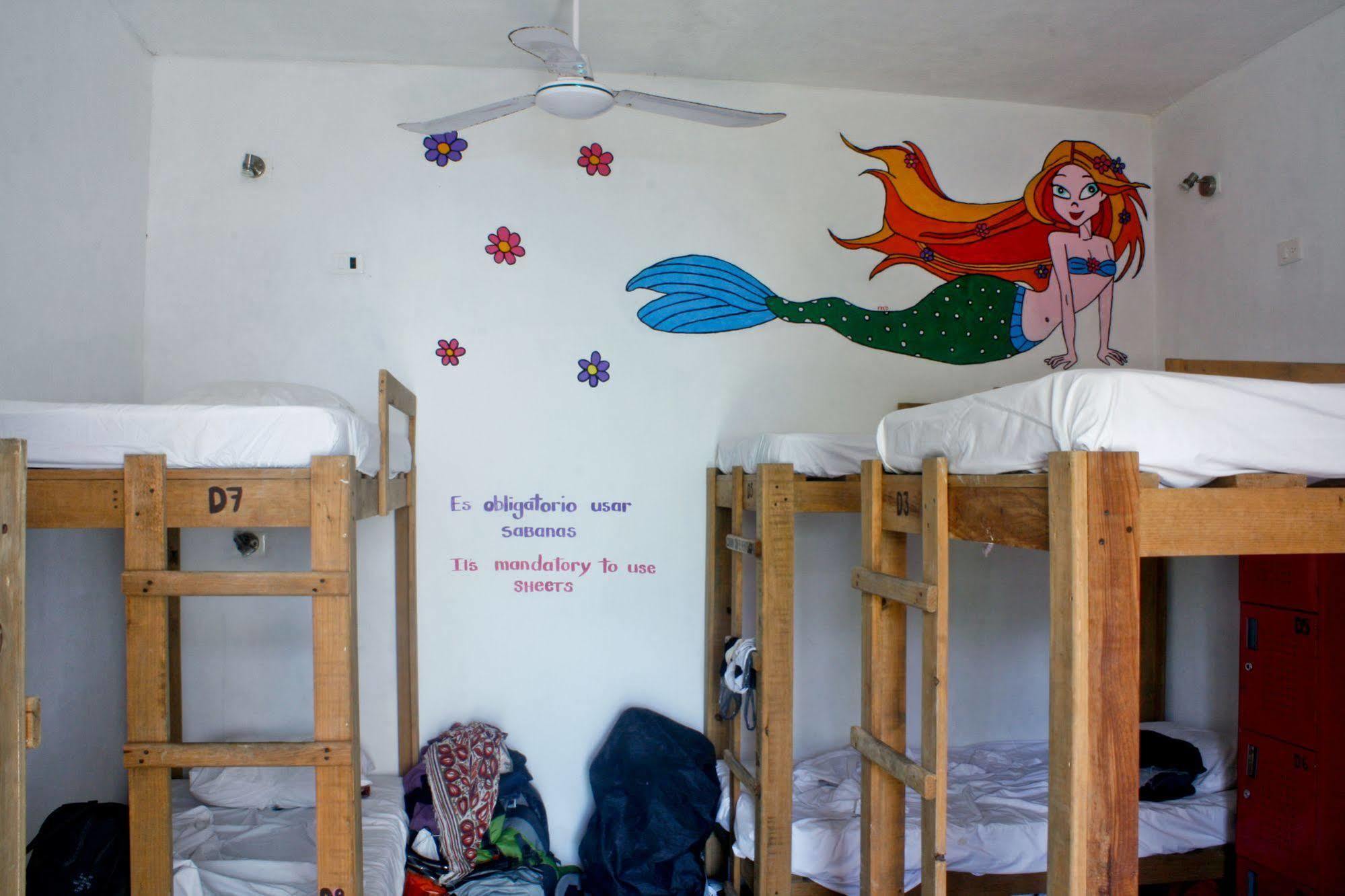Hostal Vive La Vida 신데 델 카르멘 외부 사진