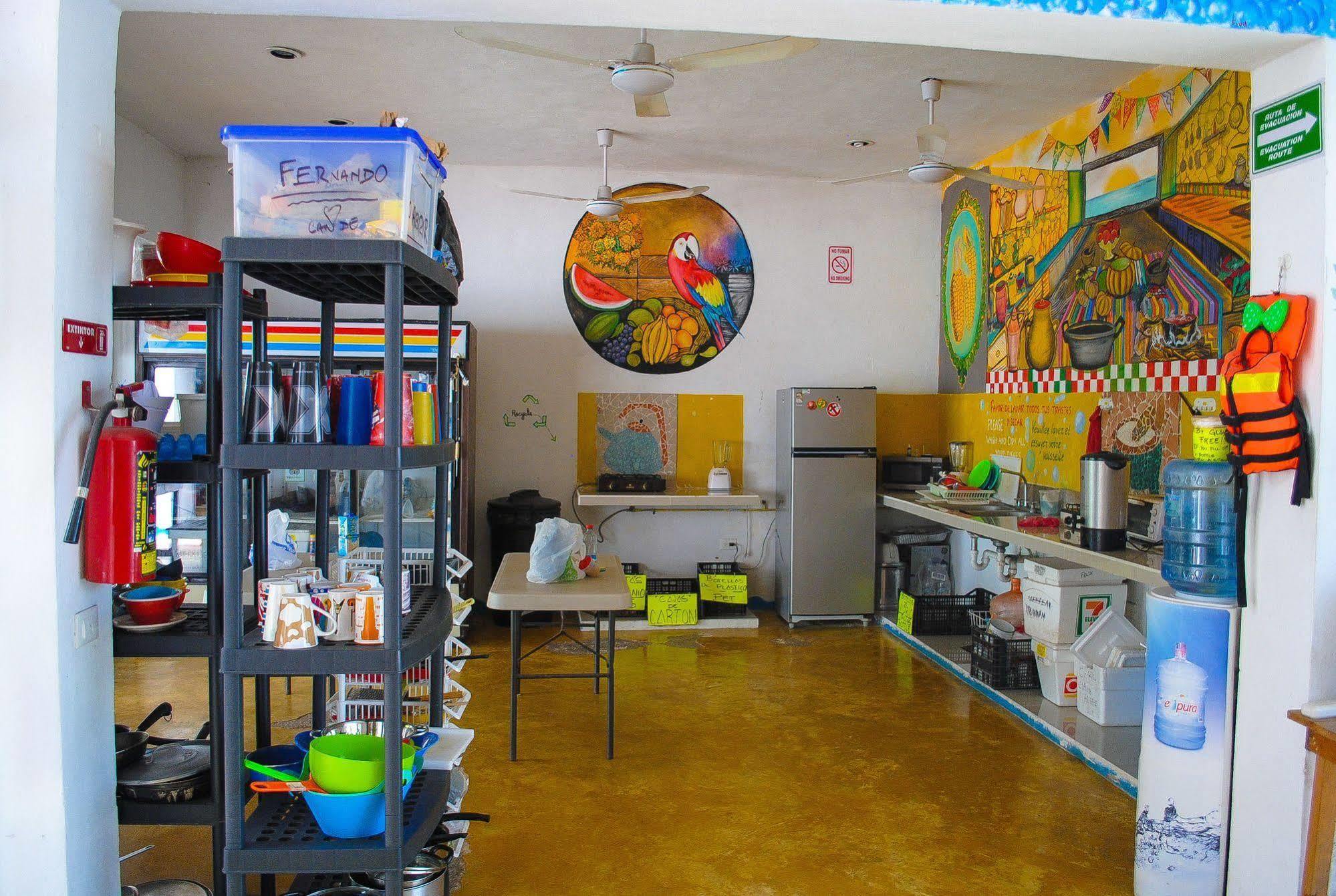 Hostal Vive La Vida 신데 델 카르멘 외부 사진